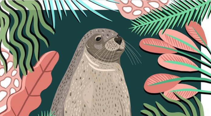 Bea Baranowska Depicts Illustrations From Her Surroundings