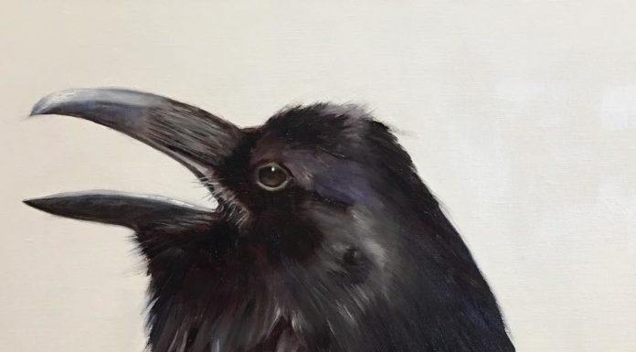 This Painter Clearly Knows Her Birds