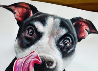 Realistic Acrylic Animals Portraits By Kyle Duca