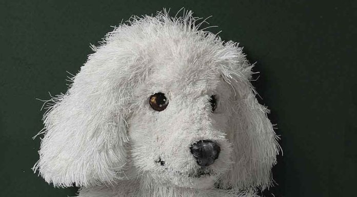 Melinda Fabian Makes Incredible Paper Animals