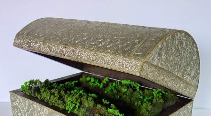 Kathleen Vance Plants Miniature Landscapes Into Old Suitcases