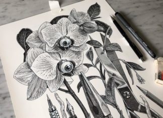Olivia Knapp is Inspired by European Line Engravings