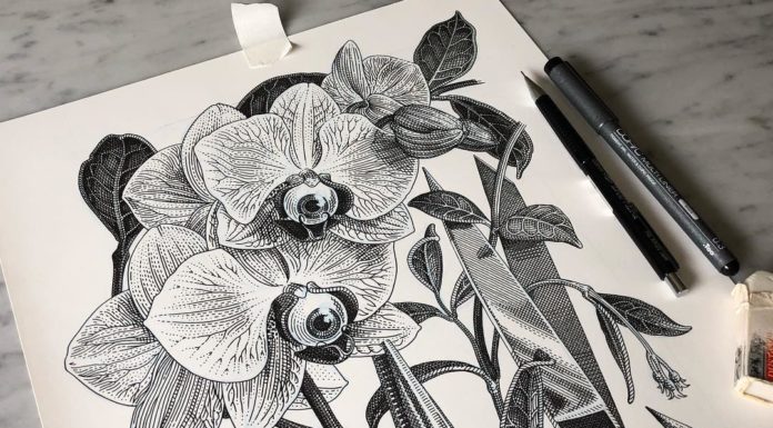 Olivia Knapp is Inspired by European Line Engravings