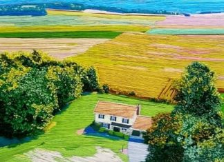 Painting With Thread: Stephanie K. Clark’s Unique Embroideries