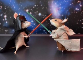 Artist Creates Dreamy 3D Scenes With Her Needle-Felted Animals