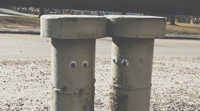 Adam Puts Googly Eyes On Outdoor Objects to Make People Smile
