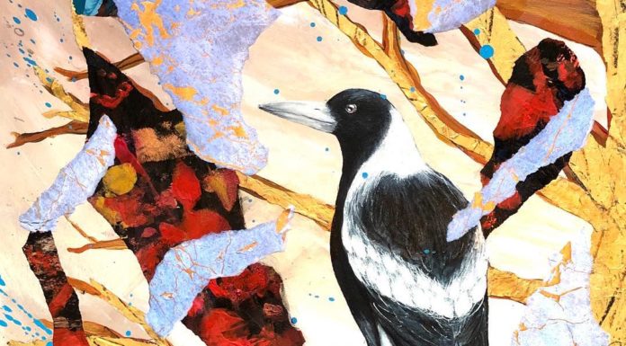 Victoria Velozo Captures the Raw Beauty of Grassland Birds