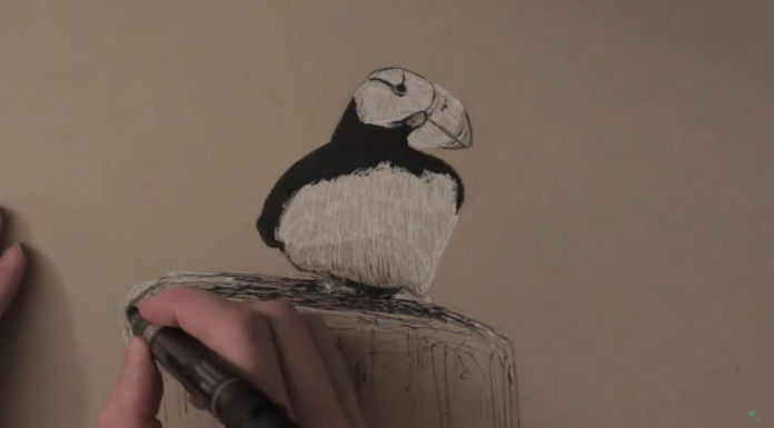 Brandon Schaefer Taught Himself How to Draw—Now He Wants to Teach Others
