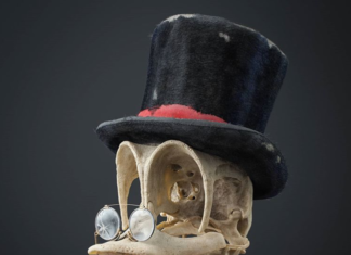 This Artist Imagined How Skulls of Famous Characters Would Look