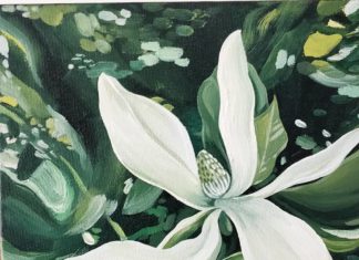 Add Some Greenery to Your Feed With Laura Kwok