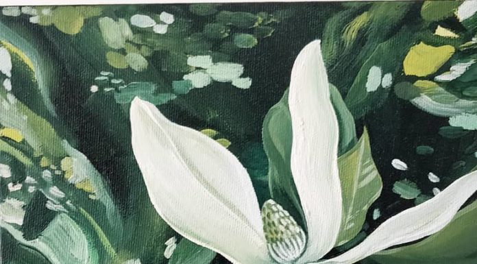 Add Some Greenery to Your Feed With Laura Kwok