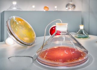 These Bacteria Lamps are Truly Conversational Pieces
