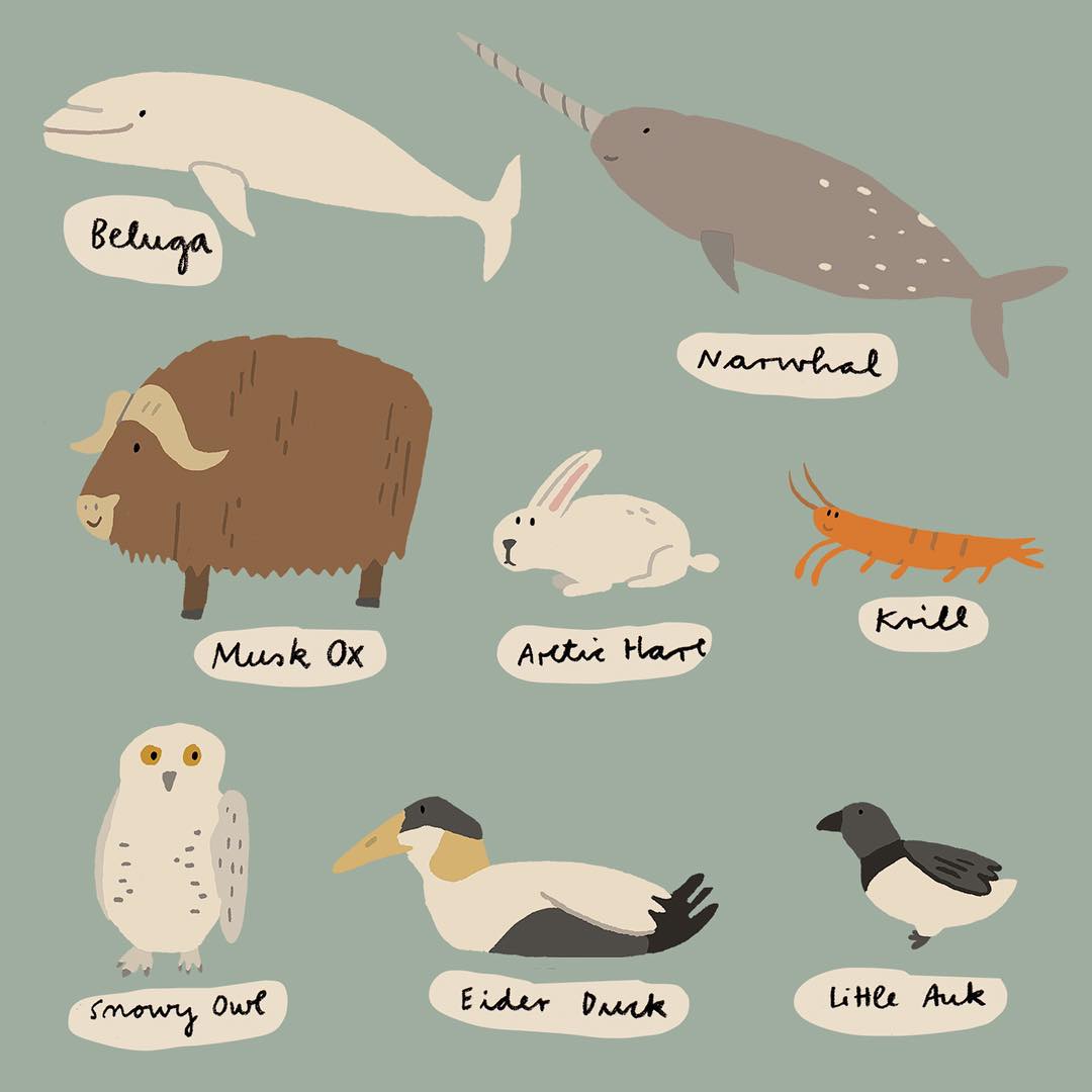 Introduce Your Children to the Animal Kingdom With These Illustrations ...