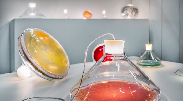 These Bacteria Lamps are Truly Conversational Pieces