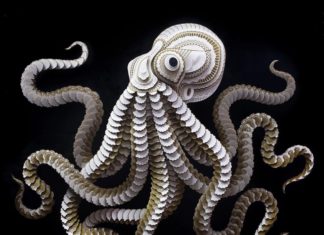 Multi-Disciplinary Artist Carves Animals Out of Paper