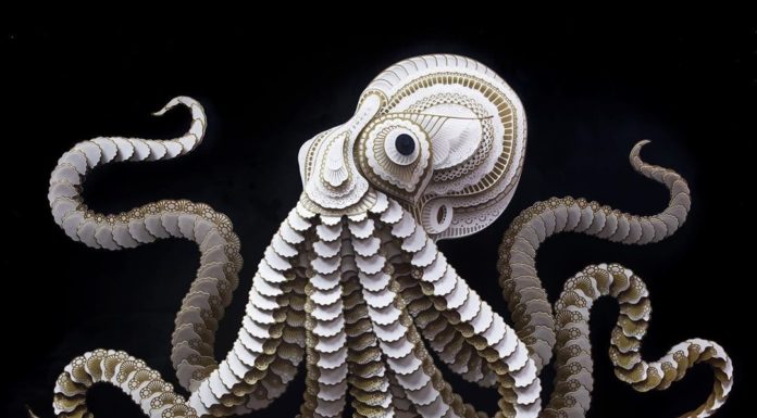 Multi-Disciplinary Artist Carves Animals Out of Paper