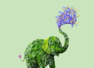 Raku Inoue Makes Insects and Animals Using Flowers