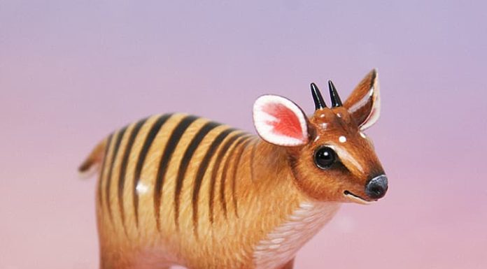 Adorable Polymer Clay Creatures By Ramalama