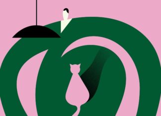 Stay Curious with Stefano Marra’s Graphic Illustrations