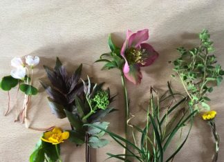 Lindsay Buck Will Teach You How to Preserve Flowers