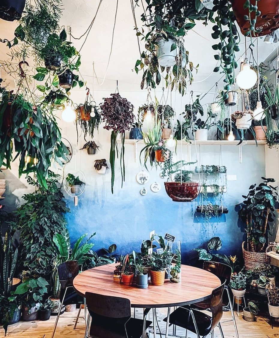 Birgitt Olislagers Will Inspire You To Get More Houseplants - Mobispirit