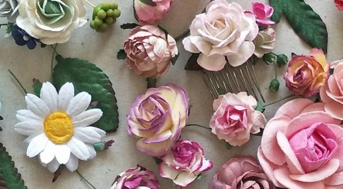 Stay Creative and Active With Squish-n-Chips