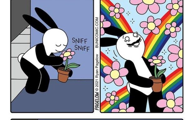 Follow Buni’s Adventures For Daily Doses of Humor