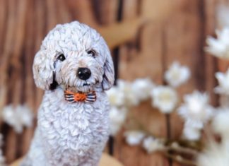 Vietnamese Artist Creates Adorable Animal Figurines Using Polymer Clay