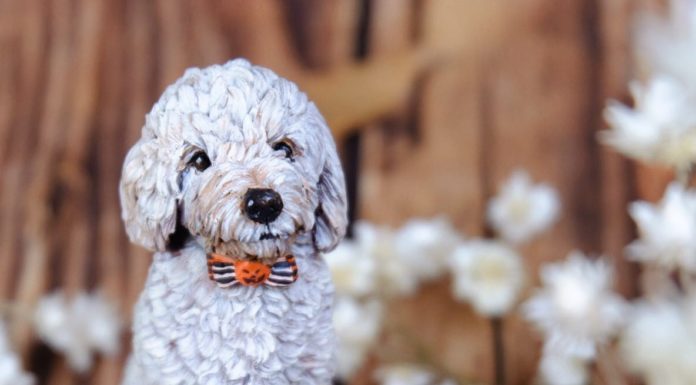 Vietnamese Artist Creates Adorable Animal Figurines Using Polymer Clay