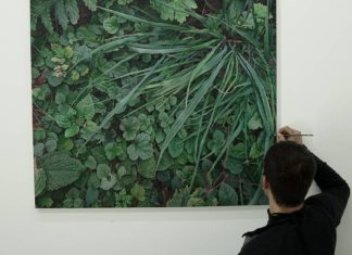 Environmentalist Couple Creates Hyper-Realistic Nature Paintings