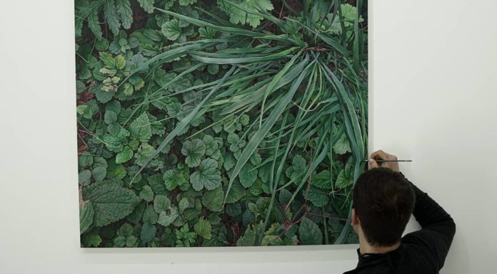 Environmentalist Couple Creates Hyper-Realistic Nature Paintings