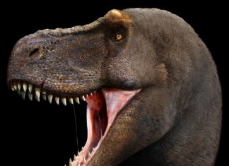 Artist Imagines What Extinct Animals Would Look Like Today