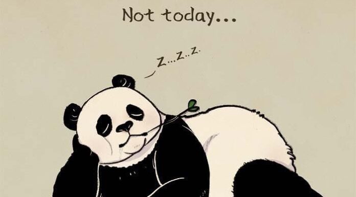 William Chua Draws Cool Illustrations of Pandas