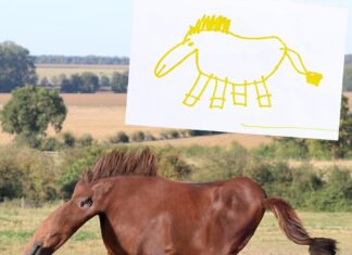 Dad Turns His Children’s Drawings Into Realistic Images Using Photoshop