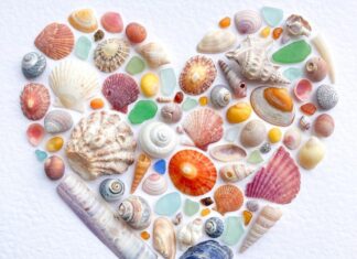 The Ocean’s Endless Beauty Shines Through Nicola Fewings’ Seashell Art