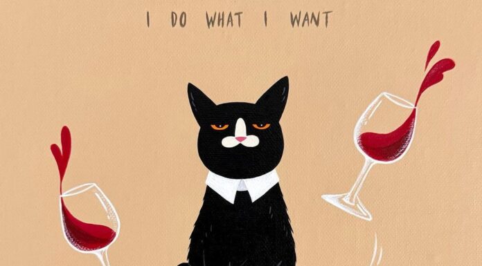 Studio After Cigs’ Art is a Love Letter to Their Silly Black Cat