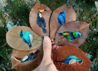 Laura Dalla Vecchia is Stitching Birds on Dried Leaves