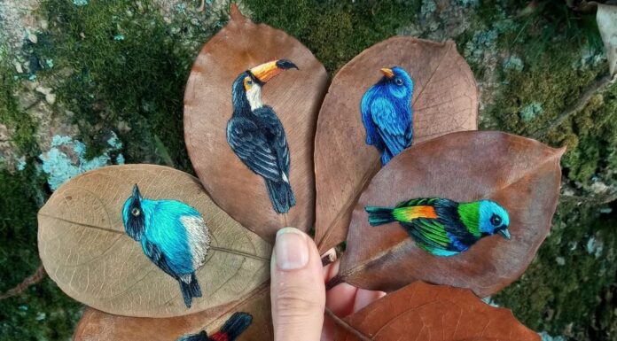 Laura Dalla Vecchia is Stitching Birds on Dried Leaves