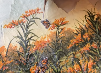 Landscape Painter Katie Brooks Uses Dried Leaves as Her Canvas
