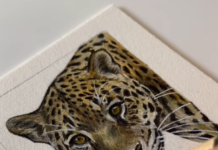 Zoe Fitchet’s Realistic Paintings Are a Love Letter to Wild Animals