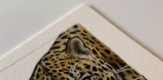 Zoe Fitchet’s Realistic Paintings Are a Love Letter to Wild Animals